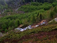 Il percorso  IMG 0597