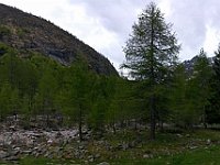 Panoramica dalla Osola  IMG 20190526 152615.vr