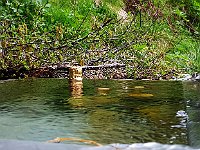 Frigorifero  20190609 120845