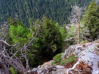 Siamo su un precipizio, a picco sulla Val Gamba (la parte alta della Val Montogn si chiama Val Gamba)  IMG 0646