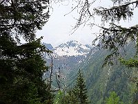 Alta Val Gamba con le cime di confine CH-IT  IMG 0647