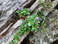 Alla prossima ....  IMG 0649