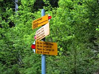 Saliamo al rifugio Campel Bass  IMG 3076