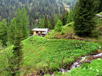 Arriviamo al bel rifugio Campel Bass  IMG 3079
