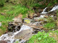 L' acqua è prorio vicina, siamo a 1720mt  IMG 3080
