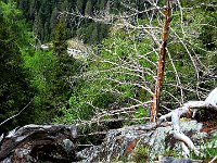 Decisamente a picco sulla valle  IMG 3088