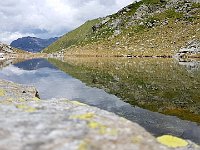 Laghetto  20190707 131147