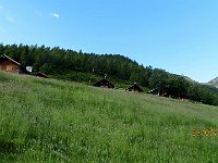 Alp de Bec Sura 1740mt  IMG 3190