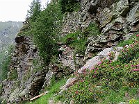 Ci sono due tratti attrezzati  IMG 3214