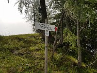 Poi su sentiero (non sulla sterrata) seguiamo le indicazioni  20190811 103208