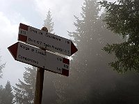 Ma perdiamo una indicazione e scendiamo troppo verso la Sella Prasnig, risaliamo 100mt circa ad un bivio con cappelletta dove troviamo la giusta via  20190811 105601