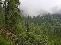 Raggiungiamo una bocchetta  20190811 111008