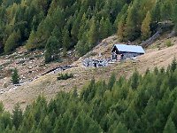 Con lo zoom  IMG 1011