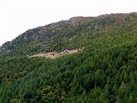 Di fronte a noi l'Alpe Remiasco  IMG 1012