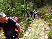 Sentiero largo e pulito  IMG 1026