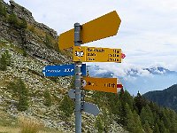 Le molte indicazioni  IMG 1029