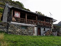 E di questa  IMG 3528