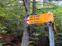 Mentre in salita per Alpe Bietri, la nostra direzione  IMG 3534