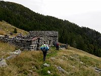 Alpe di Bietri Q1685  IMG 3539