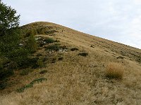 Ora ci sono 100mt di dislivello su paglione ma la cresta è larghissima  IMG 3551