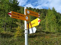 Bivio per Lodano passando dall'Alpe Tramone  IMG 3583