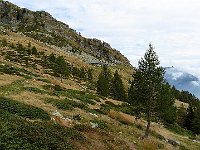 Dai non manca molto  IMG 3584