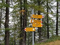 Il sentiero arriva alla Bassa, poco sopra c'e' il Passo della Bassa  IMG 3603