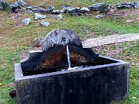 Dopo un tratto bel bosco sbuchiamo in un prato  IMG 1036