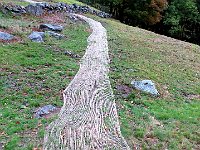 Cosa servira?  IMG 1038