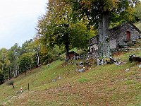 Alpeggio e sentiero  IMG 1039