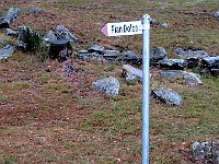 Che seguiamo  IMG 3620