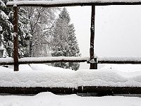 Mentre fuori NON smette  20191117 133327