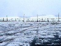 Parcheggiamo sopra Isone in zona Alpe del Tiglio, dove troviamo un'area sgombra dalla neve  IMG 3681