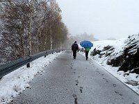 Non sembra proprio metà novembre e soprattutto a 1000mt  ...  IMG 3683