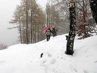 Lungo il breve sentiero  IMG 3688