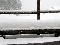 E resta giù bene  IMG 3700