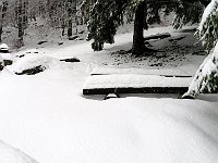 Impressionante quanta neve per questa altitudine  IMG 3750