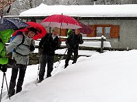 Sempre con l'ombrello  IMG 3753