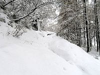 Il sentiero  IMG 3757