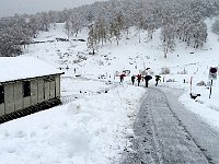 Che fortuna alla caserma sono passati a pulire la strada  IMG 3764