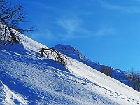 Costone e paesaggi  IMG 3965