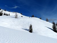 Che spettacolo  IMG 4021