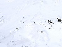 Con un numeroso gruppo di sci-alpinisti che stanno salendo  IMG 4105