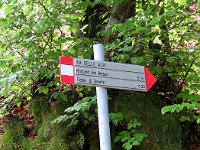 Seguiamo per il Roccolo del Messo  3143241l