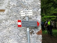 Roccolo del Messo 1165mt  3143244l