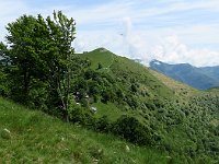 La dorsale per il Colmegnone  3143253l