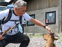 L'uomo che sussurrava alle capre  3143267l