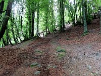 Bel sentiero  3143291l