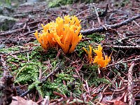 E con questa ci congediamo, alla prossima  IMG 4909