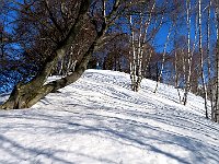 Ma il paesaggio è proprio bello  IMG 5401